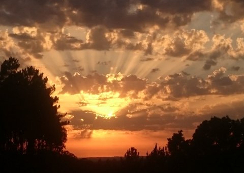 Sonnenuntergang im Garten